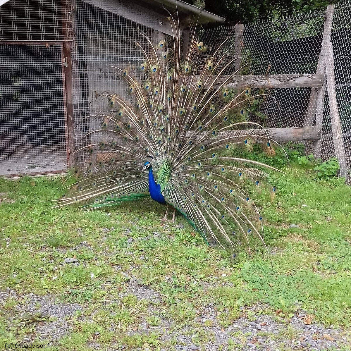 Ferme pédagogique de Saléchan