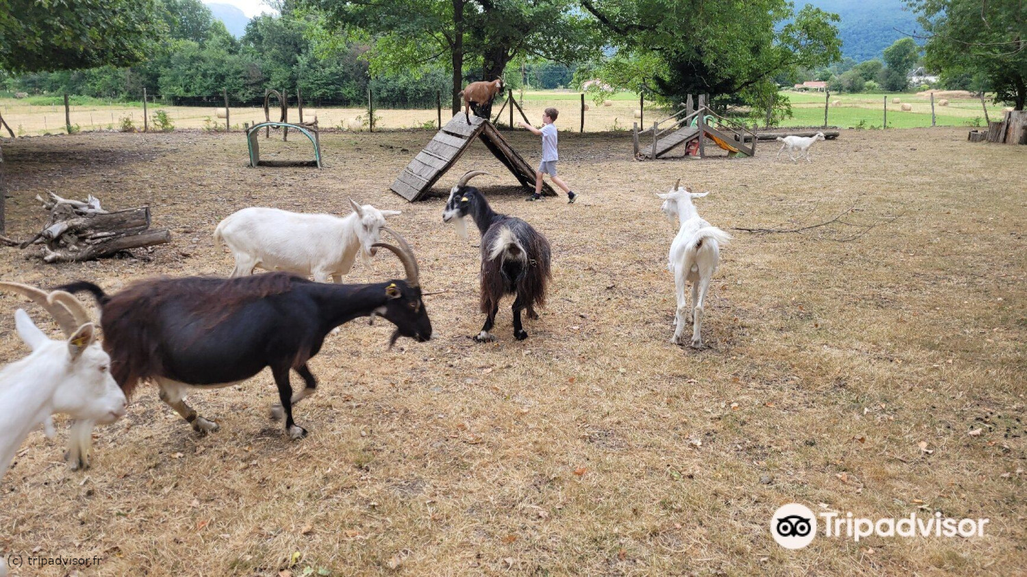 Ferme pédagogique de Saléchan